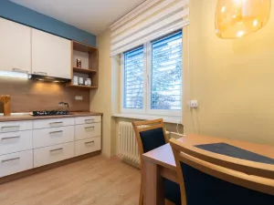 Prodej bytu 1+kk, Ústí nad Labem, SNP, 29 m2