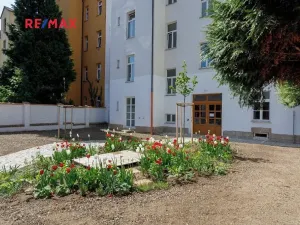 Pronájem bytu 1+kk, Plzeň, Jablonského, 35 m2