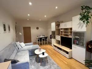 Pronájem bytu 2+1, Praha - Břevnov, Nad alejí, 55 m2