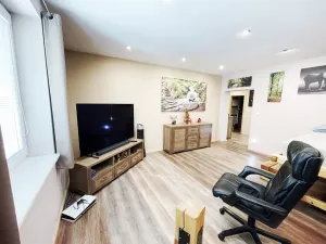 Prodej rodinného domu, Plzeň - Východní Předměstí, Stanko Vodičky, 218 m2