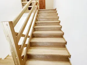 Prodej rodinného domu, Plzeň - Východní Předměstí, Stanko Vodičky, 218 m2