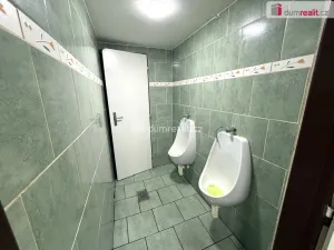 Pronájem komerční nemovitosti, Zlín - Malenovice, Masarykova, 130 m2