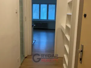 Pronájem bytu 1+kk, Praha - Braník, Jeremenkova, 31 m2
