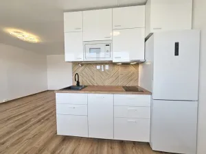 Pronájem bytu 1+kk, Praha - Kobylisy, Paláskova, 33 m2