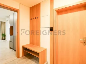 Pronájem bytu 1+kk, Brno, Cyrilská, 42 m2