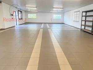 Pronájem rodinného domu, Kly - Krauzovna, 300 m2