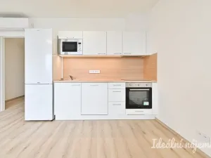 Pronájem bytu 1+kk, Brno - Horní Heršpice, Jižní, 33 m2