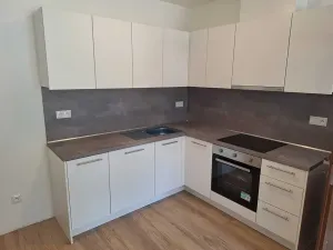 Pronájem bytu 3+kk, Přáslavice, 83 m2
