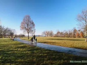 Prodej bytu 2+kk, Praha - Žižkov, Jana Želivského, 44 m2