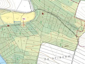 Dražba lesa, Mladoňovice, 961 m2