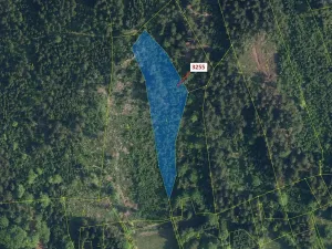 Dražba lesa, Velké Hamry, 6125 m2