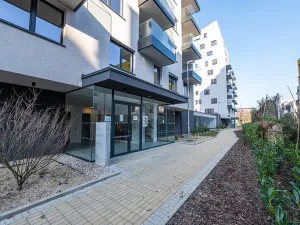 Pronájem bytu 1+kk, Praha - Vysočany, Pod Harfou, 40 m2