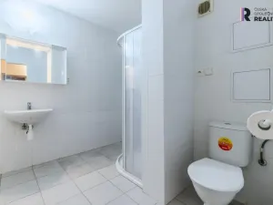 Prodej bytu 1+1, Praha - Bohnice, Toruňská, 46 m2