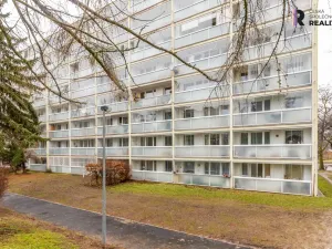 Prodej bytu 1+1, Praha - Bohnice, Toruňská, 46 m2