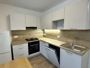 Pronájem bytu 2+1, Karviná, Borovského, 60 m2