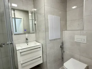 Pronájem bytu 2+1, Karviná, Borovského, 60 m2