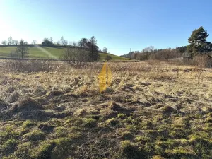 Prodej komerčního pozemku, Stará Paka, 4486 m2