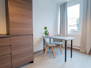 Pronájem bytu 2+kk, Praha - Vinohrady, Perucká, 45 m2