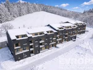 Prodej bytu 2+kk, Černý Důl, 47 m2