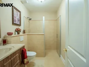 Prodej rodinného domu, Tochovice, 597 m2