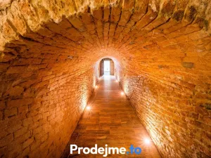 Prodej - jiné, Dyjákovice, 182 m2