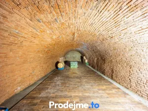 Prodej - jiné, Dyjákovice, 182 m2