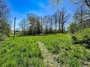 Prodej pozemku pro bydlení, Rychvald, 12307 m2