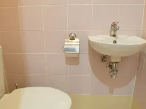 Pronájem bytu 3+1, Prostějov, Tylova, 74 m2