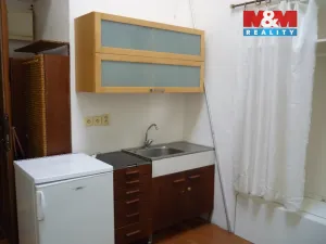 Pronájem bytu 1+kk, Praha - Vinohrady, Mánesova, 16 m2