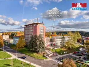 Pronájem obchodního prostoru, Ostrov, Lidická, 120 m2