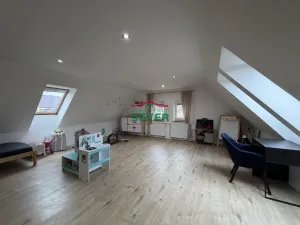 Prodej rodinného domu, Hrušovany, 208 m2