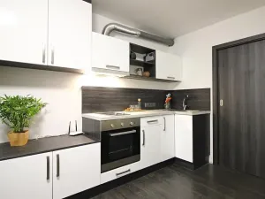 Pronájem bytu 1+kk, Brno, Jeneweinova, 36 m2