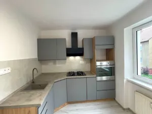 Pronájem bytu 1+1, Litvínov, Horská, 29 m2