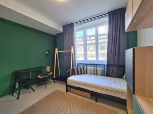 Pronájem bytu 1+kk, Brno, Dominikánské náměstí, 20 m2