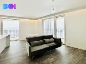 Pronájem bytu 2+kk, Ostrava, F. X. Riepla, 62 m2