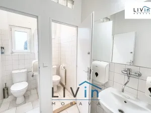 Pronájem kanceláře, Olomouc, Karolíny Světlé, 68 m2