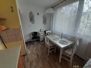 Pronájem bytu 1+1, Znojmo, Palackého, 32 m2