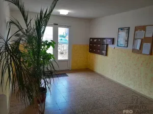 Pronájem bytu 1+1, Znojmo, Palackého, 32 m2