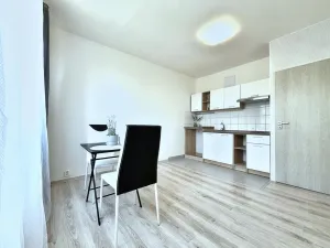 Pronájem bytu 1+1, Roudnice nad Labem, Neklanova, 38 m2