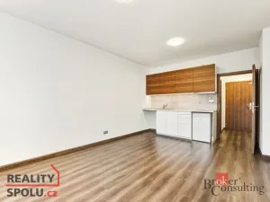 Pronájem bytu 1+kk, Pardubice - Zelené Předměstí, Rokycanova, 29 m2