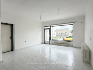 Pronájem obchodního prostoru, Plzeň, Sušická, 62 m2