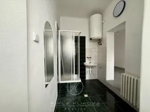 Pronájem obchodního prostoru, Plzeň, Sušická, 62 m2