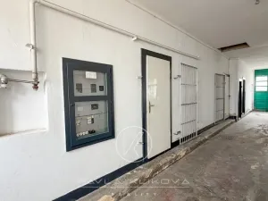 Pronájem obchodního prostoru, Plzeň, Sušická, 62 m2