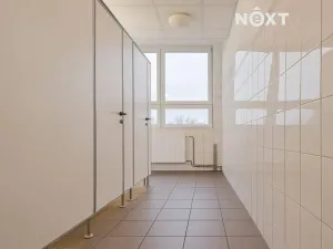 Pronájem kanceláře, České Budějovice, K. Světlé, 48 m2