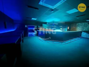 Pronájem komerční nemovitosti, Přerov, Wilsonova, 210 m2