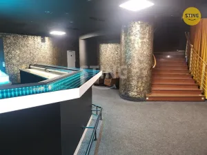 Pronájem komerční nemovitosti, Přerov, Wilsonova, 210 m2