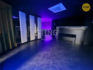Pronájem komerční nemovitosti, Přerov, Wilsonova, 210 m2