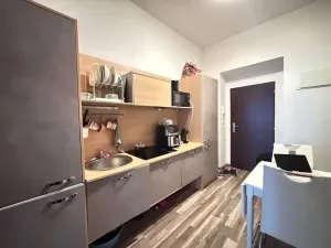 Pronájem bytu 1+1, Praha - Dejvice, Pod kaštany, 33 m2