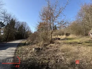 Prodej pozemku, Slapy, 6289 m2