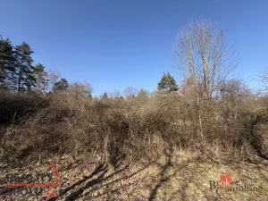 Prodej pozemku, Slapy, 6289 m2